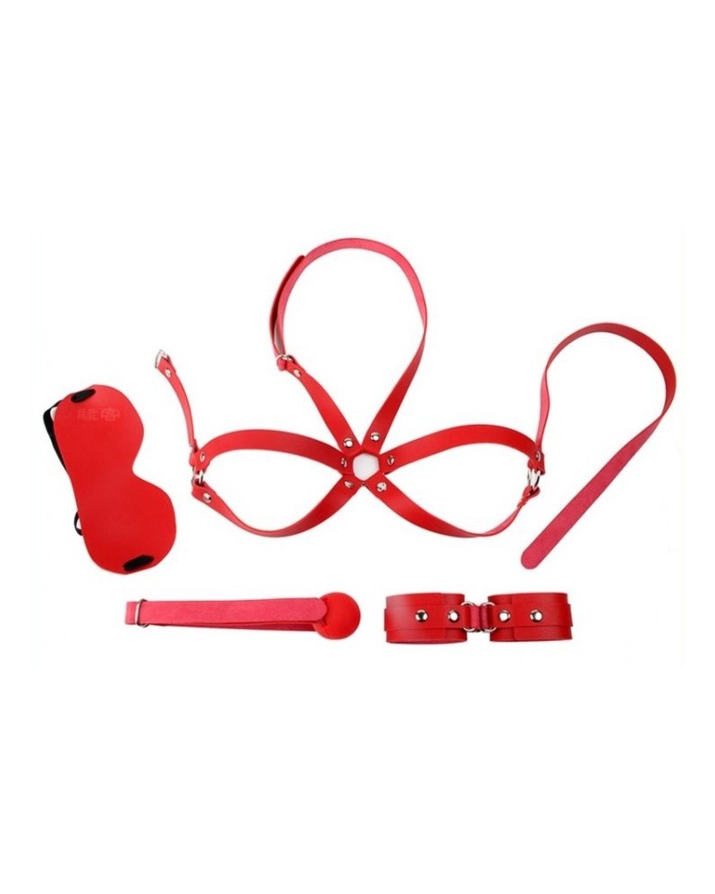 Kit d'Initiation BDSM OBEDIENCE 4 pieces Rouge pas cher