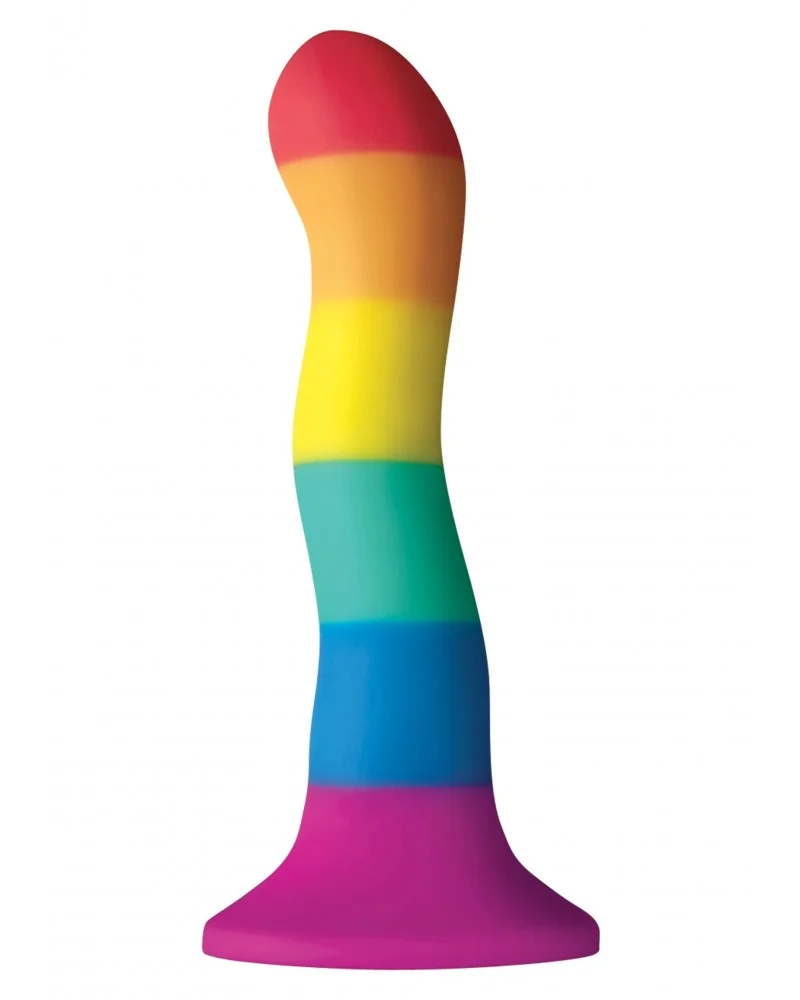 Dildo Pride 16 x 3.8 cm sur la Boutique du Hard