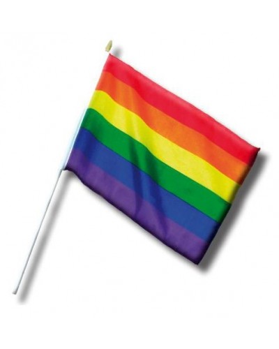 Mini Drapeau Rainbow 20 x 30cm sur la Boutique du Hard