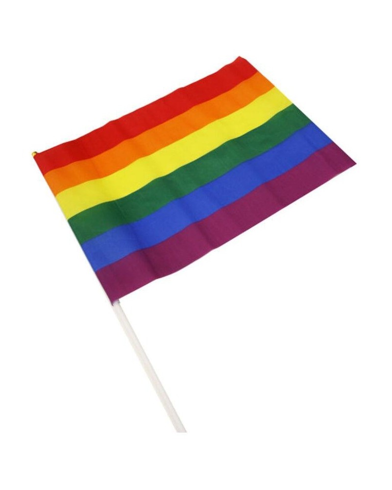 Drapeau Rainbow avec manche 30 x 43cm sur la Boutique du Hard