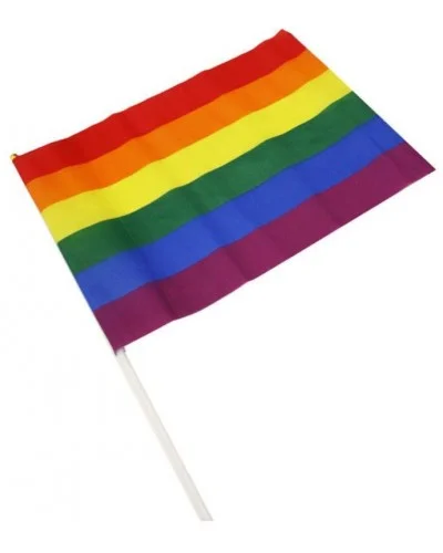 Drapeau Rainbow avec manche 20 x 28cm sur la Boutique du Hard