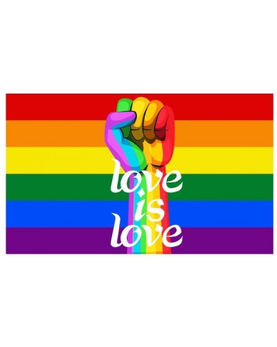 Drapeau Rainbow Love is Love 60 x 90cm sur la Boutique du Hard