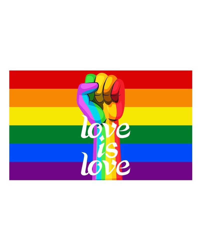 Drapeau Rainbow Love is Love 60 x 90cm sur la Boutique du Hard