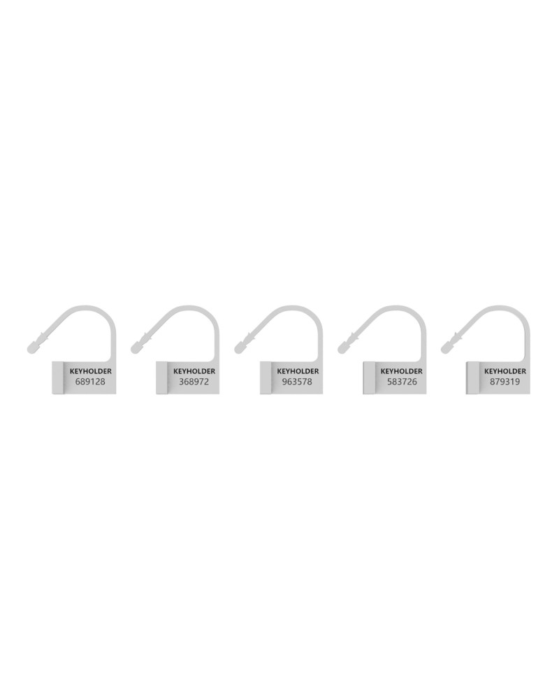 Lot de 5 LOCKS numérotés pas cher - La Boutique du Hard
