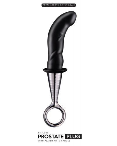 Plug prostatique Prostate In 10 x 2.7 cm sextoys et accessoires sur La Boutique du Hard