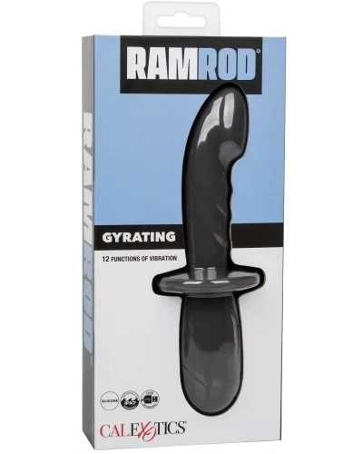 Gode Vibrant avec Poignée Gyrating Ramrod 11 x 3.2cm sextoys et accessoires sur La Boutique du Hard