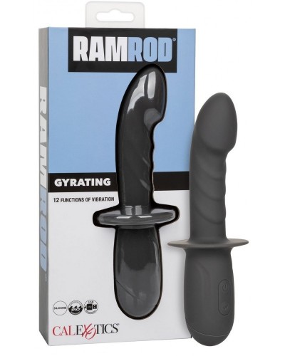 Gode Vibrant avec Poignée Gyrating Ramrod 11 x 3.2cm sextoys et accessoires sur La Boutique du Hard