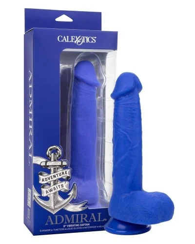 Gode vibrant Captain 16 x 4 cm Bleu sextoys et accessoires sur La Boutique du Hard