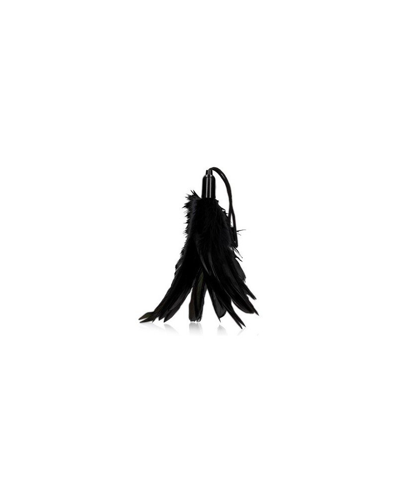 Plumeau Feather Tickler 20cm Noir sextoys et accessoires sur La Boutique du Hard