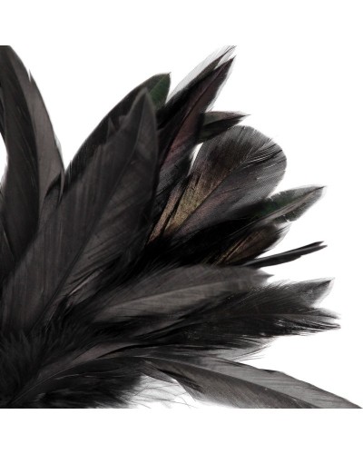 Plumeau Feather Tickler 20cm Noir sextoys et accessoires sur La Boutique du Hard