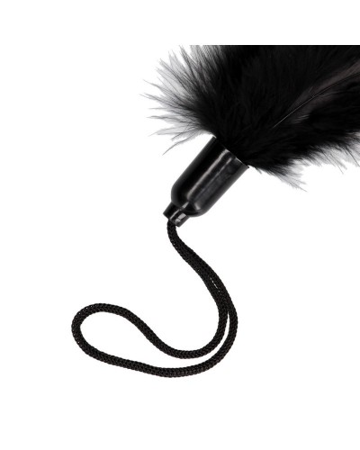 Plumeau Feather Tickler 20cm Noir sextoys et accessoires sur La Boutique du Hard