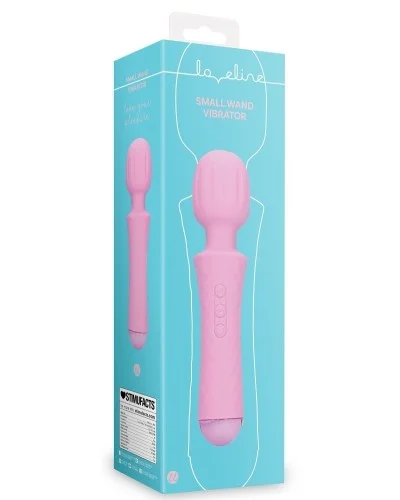 Petite wand vibrante sextoys et accessoires sur La Boutique du Hard