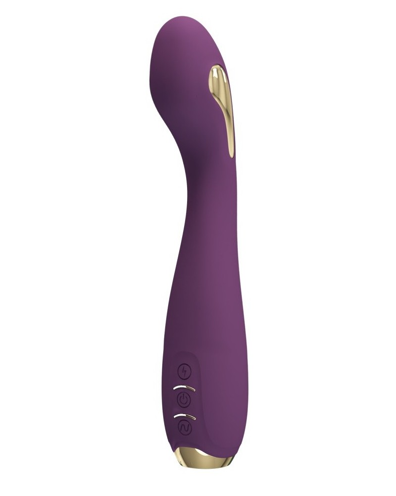 Vibro Point G Électro Connecté Hector 16 x 3.8cm Prune sextoys et accessoires sur La Boutique du Hard